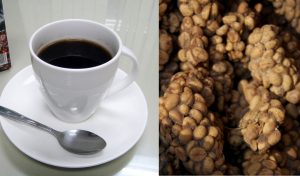 Kopi luwak coffee and beans